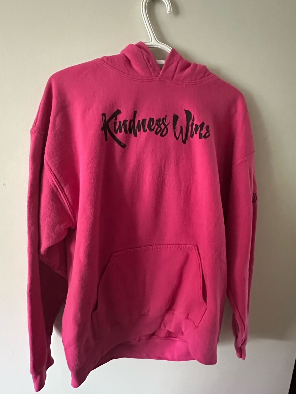 Gildan Heavy Blend Pink “Kindness Wins” Hoodie Size L – No Drawstring
UNISEX